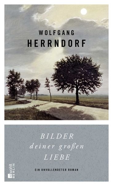 Bilder deiner großen Liebe, Gebundene Ausgabe von Wolfgang Herrndorf, Rowohlt Berlin
