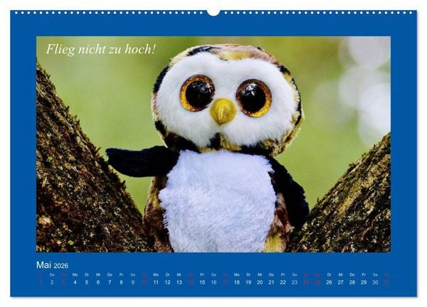 Produktbild: Sommer im Teddy-Land. B&auml;r und Freunde (Wandkalender 2026 DIN A2 quer), CALVENDO Monatskalender