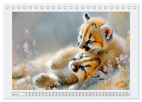 Produktbild: Pumababys. Verspielte Bergl&ouml;wenkinder in der Natur (Tischkalender 2027 DIN A5 quer), CALVENDO Monatskalender