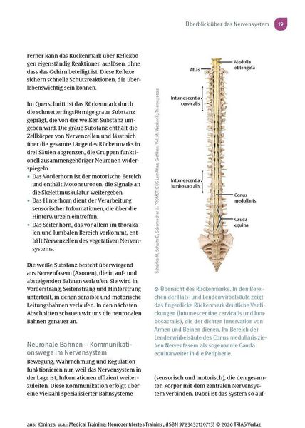 Produktbild: Medical Training: Neurozentriertes Training