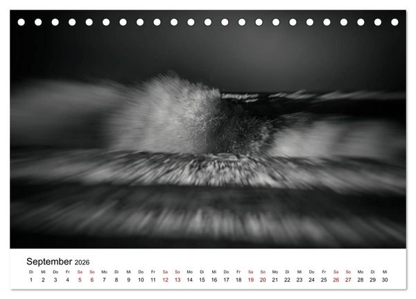 Produktbild: Sylt ... bewegt (Tischkalender 2026 DIN A5 quer), CALVENDO Monatskalender