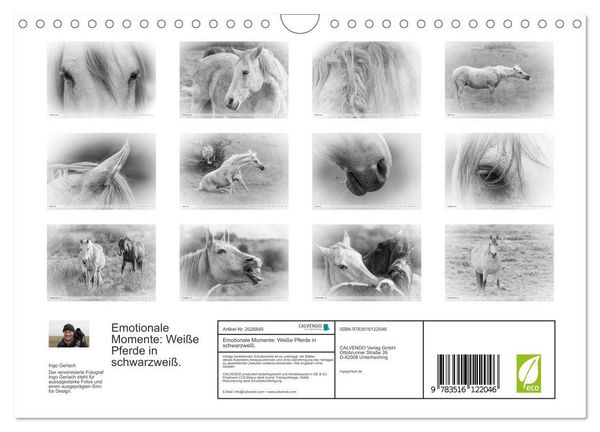 Produktbild: Emotionale Momente: Wei&szlig;e Pferde in schwarzwei&szlig;. (Wandkalender 2026 DIN A4 quer), CALVENDO Monatskalender