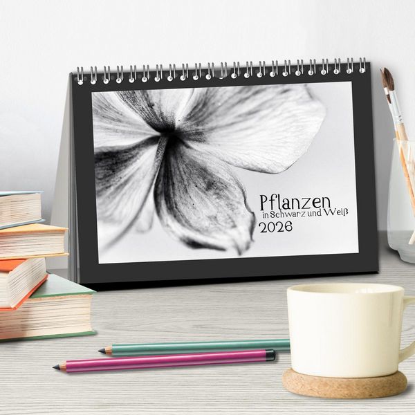 Produktbild: Pflanzen in Schwarz und Wei&szlig; (Tischkalender 2026 DIN A5 quer), CALVENDO Monatskalender