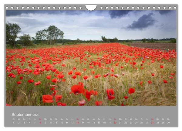 Produktbild: &Ouml;LAND - Besuch im etwas anderen Schweden 2026 (Wandkalender 2026 DIN A4 quer), CALVENDO Monatskalender