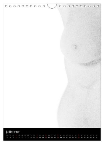 Produktbild: F&eacute;minit&eacute; (Calendrier mural 2027 DIN A4 horizontal), CALVENDO calendrier mensuel
