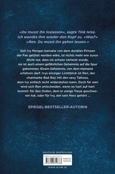 Produktbild: Torn &ndash; Eine Liebe zwischen Licht und Dunkelheit