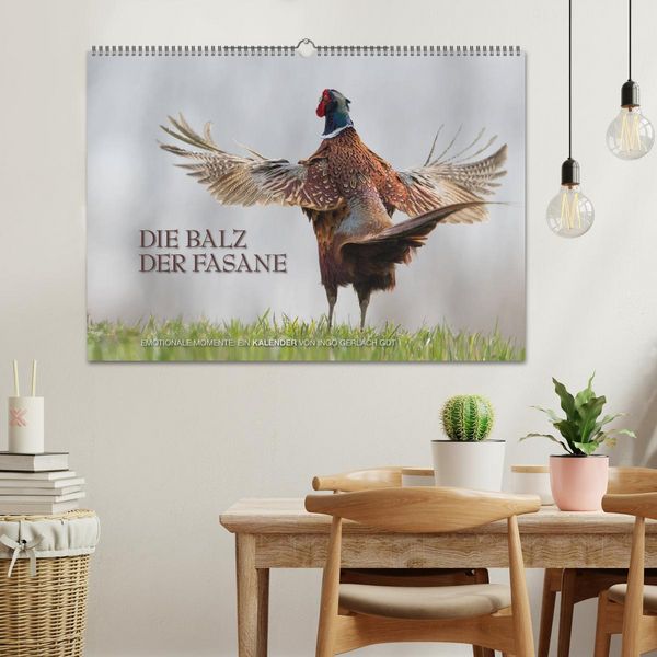 Produktbild: Emotionale Momente: Die Balz der Fasane / CH-Version (Wandkalender 2026 DIN A2 quer), CALVENDO Monatskalender