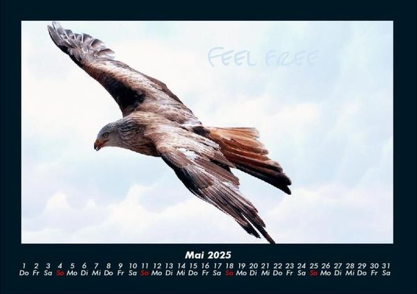 Produktbild: Adler 2025 Fotokalender DIN A4