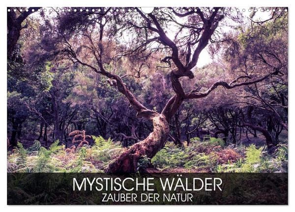 Produktbild: Mystische W&auml;lder - Zauber der Natur (Wandkalender 2026 DIN A3 quer), CALVENDO Monatskalender