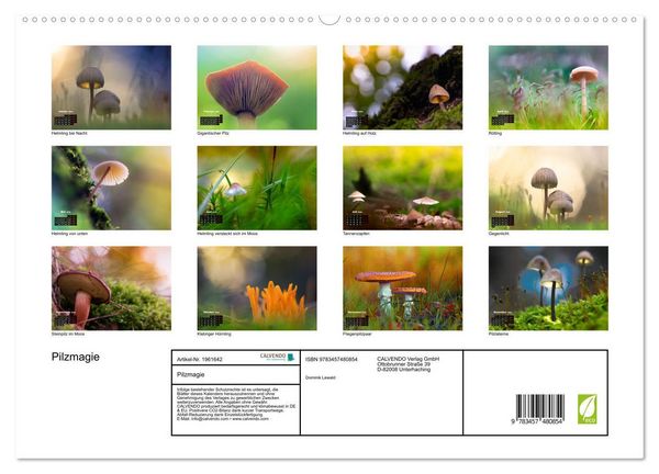 Produktbild: Pilzmagie (hochwertiger Premium Wandkalender 2026 DIN A2 quer), Kunstdruck in Hochglanz
