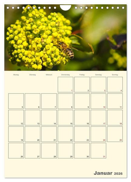 Produktbild: Bienen im Naturgarten (Wandkalender 2026 DIN A4 hoch), CALVENDO Monatskalender