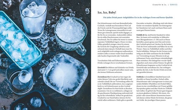 Produktbild: Cocktails selbst gemixt