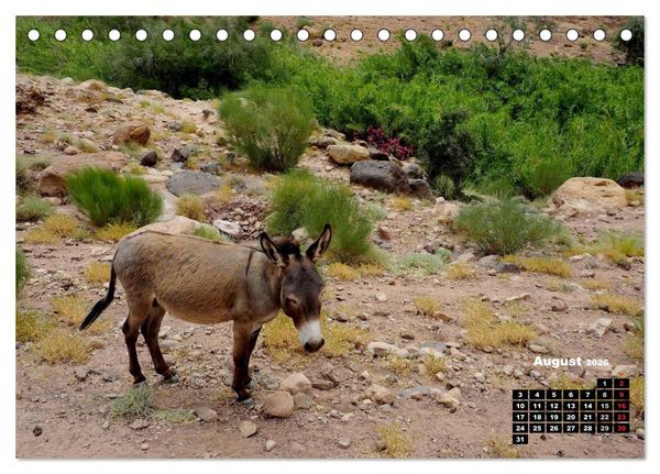 Produktbild: Jordanien. K&ouml;nigreich in der W&uuml;ste (Tischkalender 2026 DIN A5 quer), CALVENDO Monatskalender
