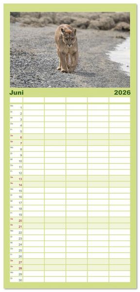 Produktbild: Familienplaner 2026 - Wildlife S&uuml;damerika mit 5 Spalten (Wandkalender, 21 x 45 cm) CALVENDO
