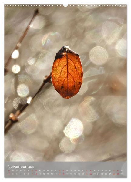 Produktbild: Mit Bokeh-Fotografie durch das Jahr (hochwertiger Premium Wandkalender 2026 DIN A2 hoch), Kunstdruck in Hochglanz