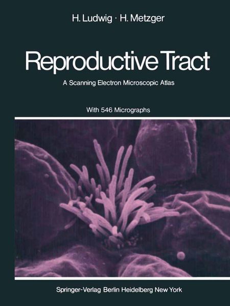 Produktbild: The Human Female Reproductive Tract
