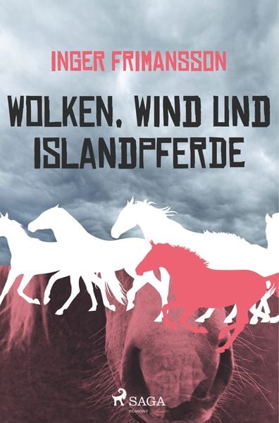 Produktbild: Wolken, Wind und Islandpferde