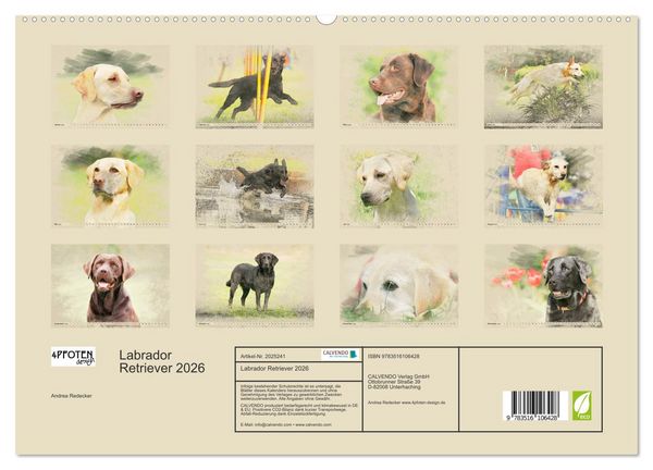 Produktbild: Labrador Retriever 2026 (hochwertiger Premium Wandkalender 2026 DIN A2 quer), Kunstdruck in Hochglanz