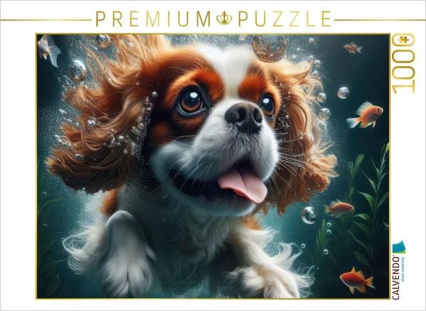 CALVENDO Puzzle King Charles Cavalier Spaniel taucht begeistert unter Wasser | 1000 Teile Lege-Größe 64x48cm Foto-Puzzle