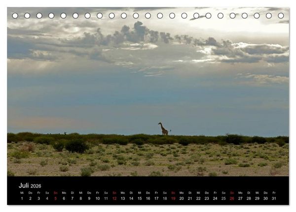 Produktbild: Giraffen &ndash; Faszination der Wildnis (Tischkalender 2026 DIN A5 quer), CALVENDO Monatskalender