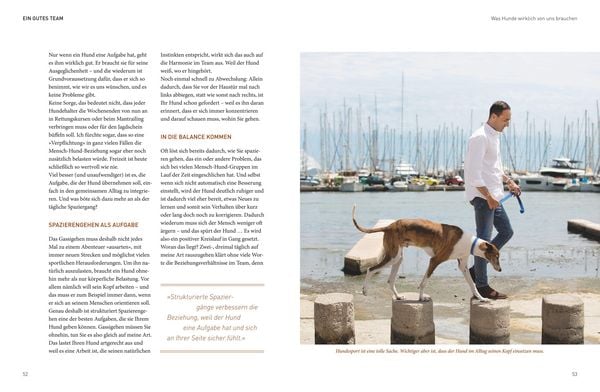 Produktbild: Die Jos&eacute;-Arce-Methode: Liebe Deinen Hund. Wie Sie beim Gassigehen die Beziehung st&auml;rken
