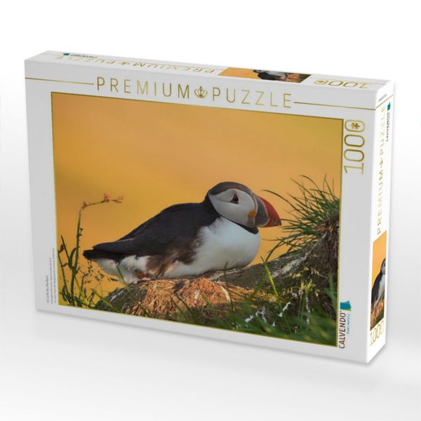 Produktbild: CALVENDO Puzzle im Licht des Nordens | 1000 Teile Lege-Gr&ouml;&szlig;e 64x48cm Foto-Puzzle f&uuml;r gl&uuml;ckliche Stunden