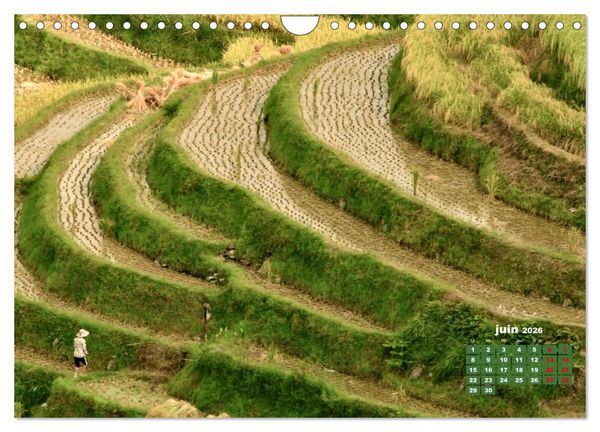 Produktbild: Riz de Chine (Calendrier mural 2026 DIN A4 vertical), CALVENDO calendrier mensuel