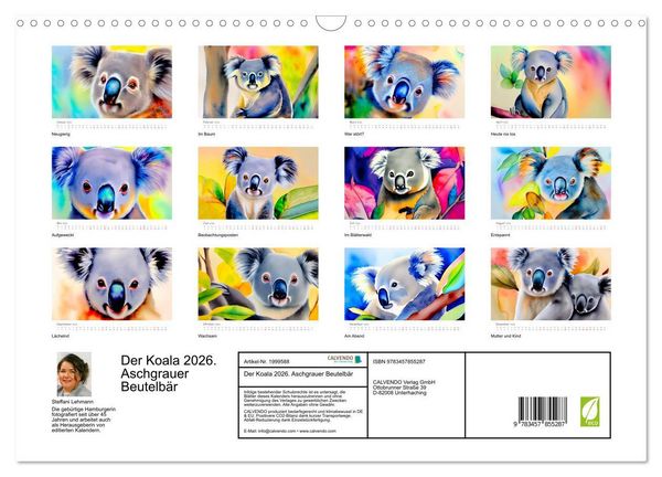 Produktbild: Der Koala 2026. Aschgrauer Beutelb&auml;r (Wandkalender 2026 DIN A3 quer), CALVENDO Monatskalender