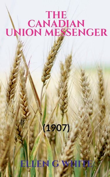 Produktbild: The Canadian Union Messenger (1907)