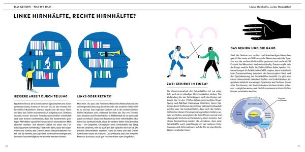 Produktbild: Eine Reise durch unser Gehirn