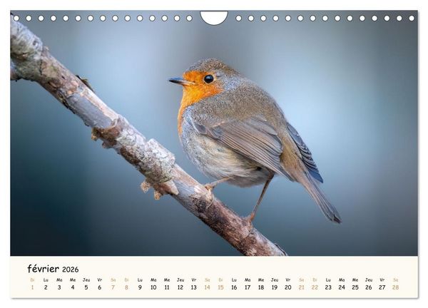 Produktbild: Les murmures de la for&ecirc;t - Regards d'animaux (Calendrier mural 2026 DIN A4 vertical), CALVENDO calendrier mensuel