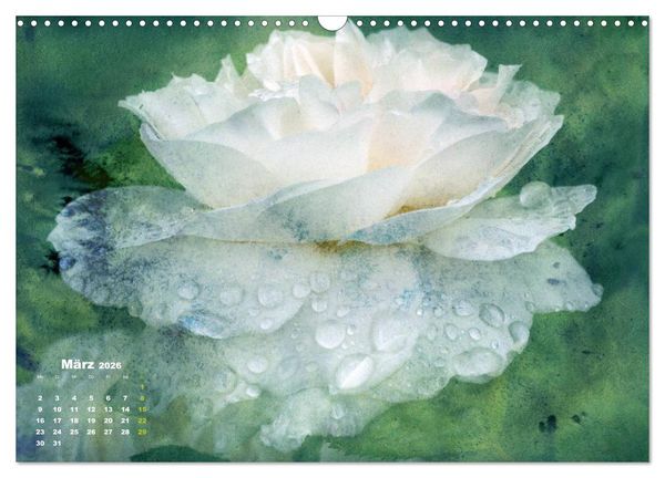 Produktbild: Rosen Romantik (Wandkalender 2026 DIN A3 quer), CALVENDO Monatskalender
