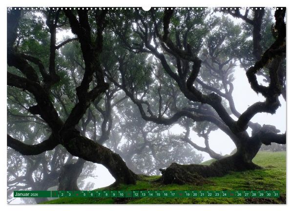 Produktbild: Madeira Blumeninsel im Atlantik (hochwertiger Premium Wandkalender 2026 DIN A2 quer), Kunstdruck in Hochglanz