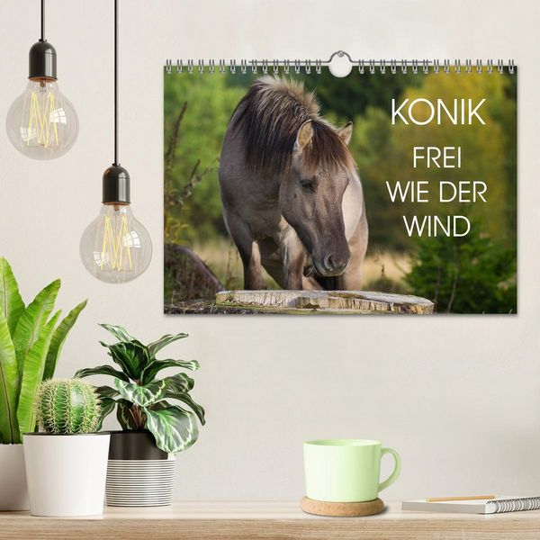 Produktbild: Konik - Frei geboren (Wandkalender 2026 DIN A4 quer), CALVENDO Monatskalender