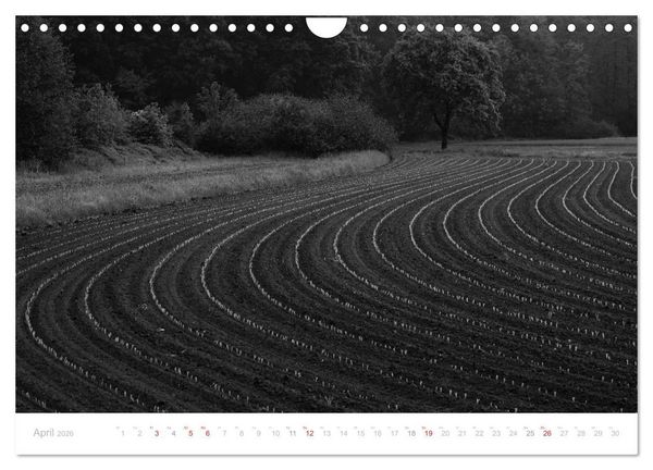 Produktbild: Mystischer Schwarzwald (Wandkalender 2026 DIN A4 quer), CALVENDO Monatskalender