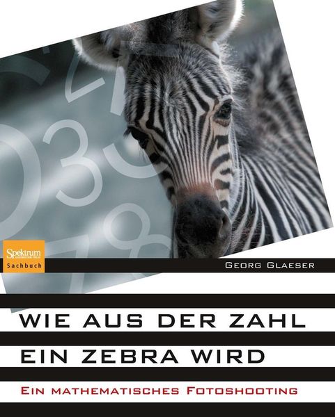Produktbild: Wie aus der Zahl ein Zebra wird