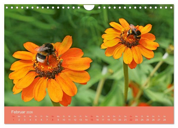 Produktbild: Fauna trifft Flora - Tierischer Besuch im Pflanzenreich (Wandkalender 2026 DIN A4 quer), CALVENDO Monatskalender