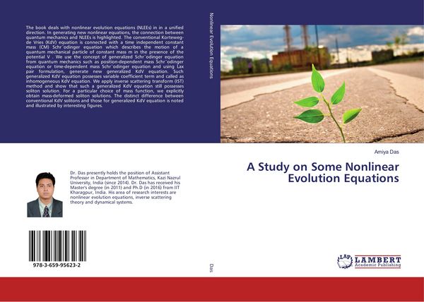 Produktbild: A Study on Some Nonlinear Evolution Equations