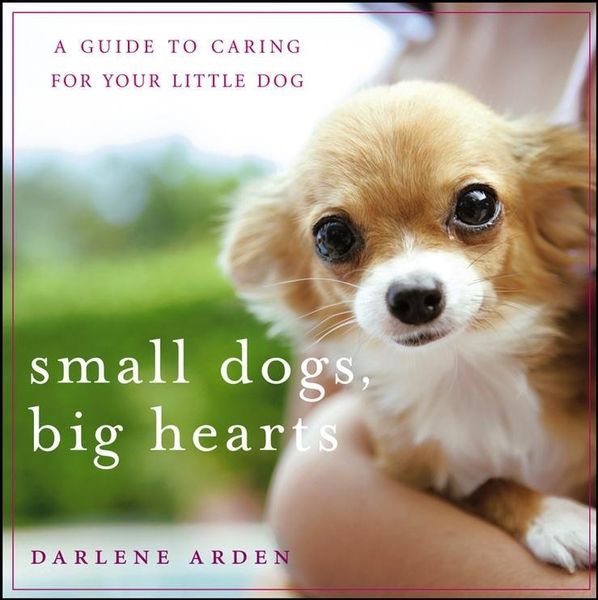 Produktbild: Small Dogs, Big Hearts