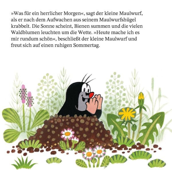 Produktbild: Maxi Pixi 468: Ein Tag mit dem kleinen Maulwurf