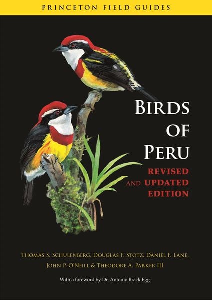 Produktbild: Birds of Peru