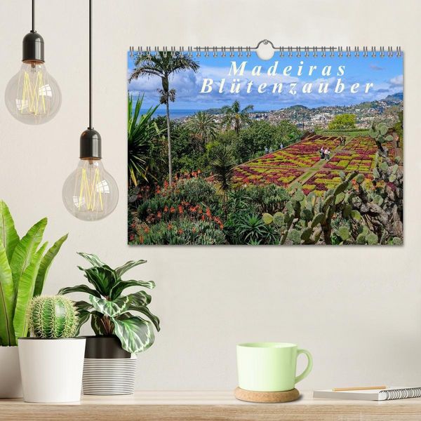 Produktbild: Madeiras Bl&uuml;tenzauber (Wandkalender 2026 DIN A4 quer), CALVENDO Monatskalender