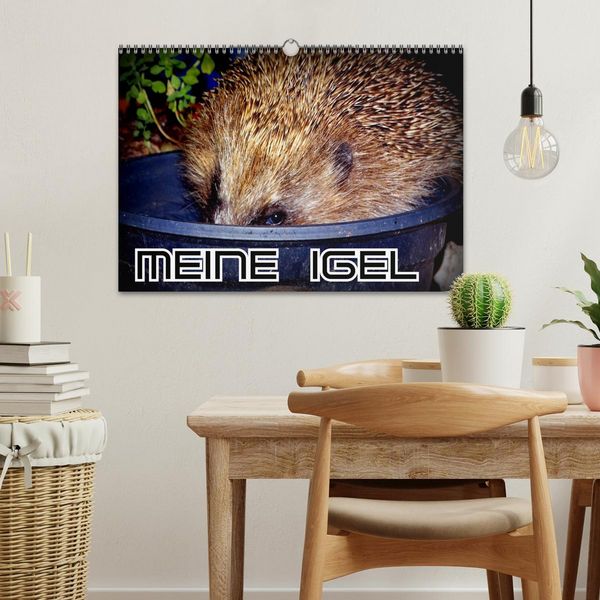 Produktbild: Meine Igel (Wandkalender 2026 DIN A3 quer), CALVENDO Monatskalender