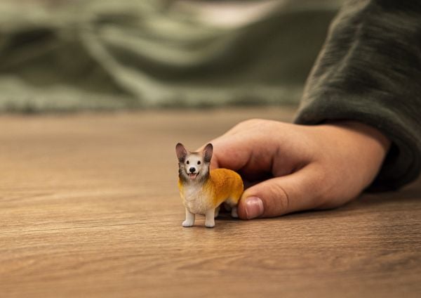 Produktbild: schleich&reg; 13999 Welsh Corgi