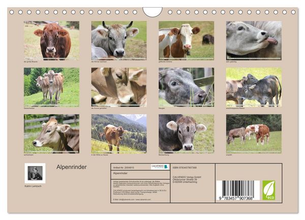 Produktbild: Alpenrinder (Wandkalender 2026 DIN A4 quer), CALVENDO Monatskalender