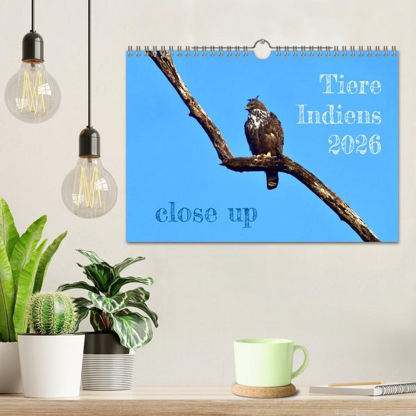 Produktbild: Tiere Indiens close up (Wandkalender 2026 DIN A4 quer), CALVENDO Monatskalender