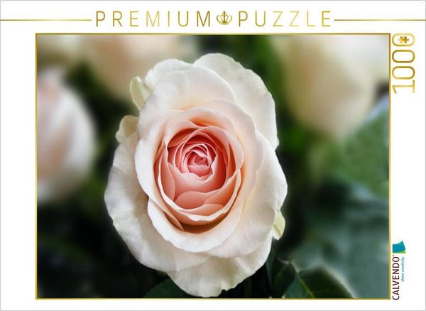 Produktbild: CALVENDO Puzzle Ein Motiv aus dem Kalender Erkenntnis und Weisheit - Hildegard von Bingen | 1000 Teile Lege-Gr&ouml;&szlig;e 64x48cm Foto-Puzzle f&uuml;r gl&uuml;ckliche Stunden