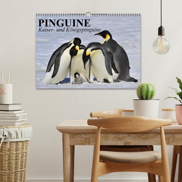 Produktbild: Pinguine - Kaiser- und K&ouml;nigspinguine (Wandkalender 2026 DIN A3 quer), CALVENDO Monatskalender