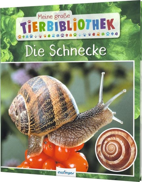 Produktbild: Meine gro&szlig;e Tierbibliothek: Die Schnecke