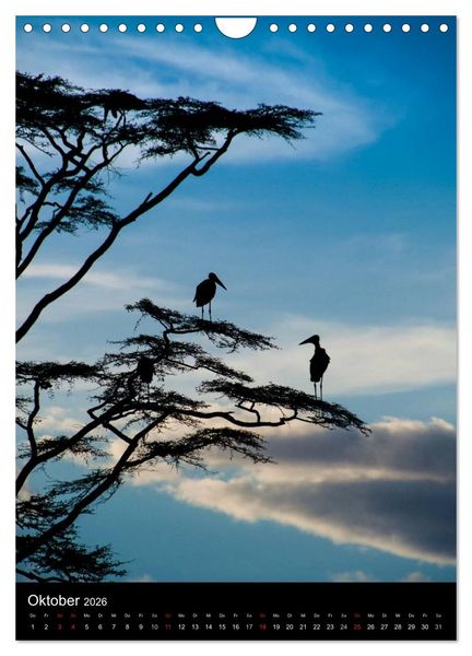 Produktbild: Wildes Afrika (Wandkalender 2026 DIN A4 hoch), CALVENDO Monatskalender